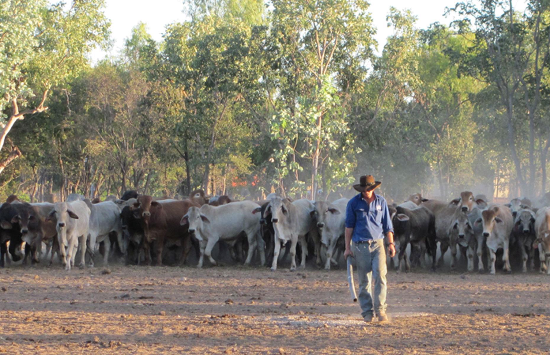 31st. Colin Ross: 774,500 hectares